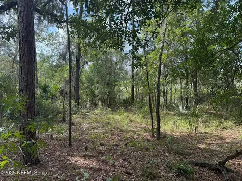 151 Long Branch Trail Interlachen FL 32148