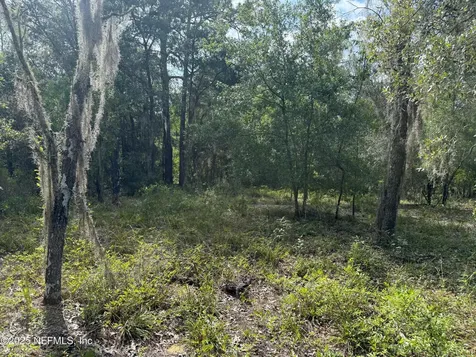 151 Long Branch Trail Interlachen FL 32148