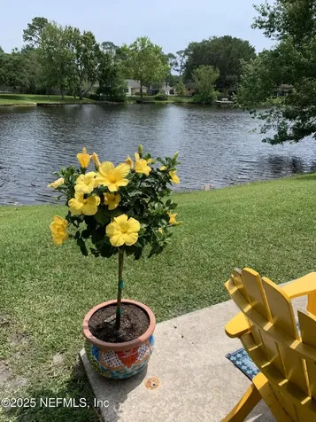 1450 Mandarin Point Lane S Jacksonville FL 32223
