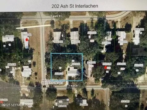 202 Ash Street Interlachen FL 32148