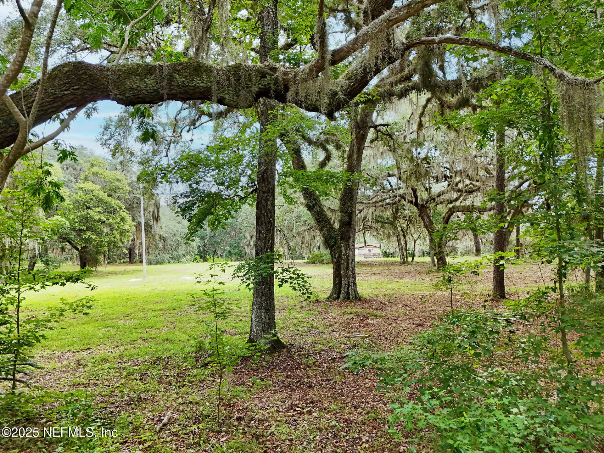 202 Bostwick Cemetery Road Palatka FL 32177