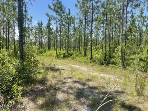 4370 Runaway Cove Road Hilliard FL 32046