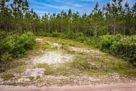 4370 Runaway Cove Road Hilliard FL 32046