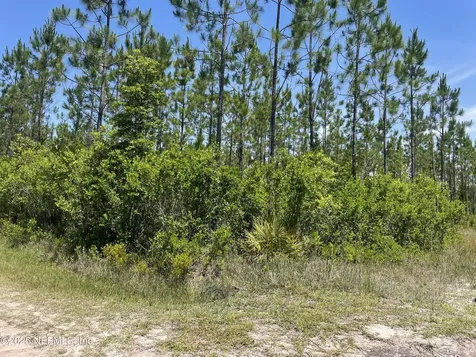 4370 Runaway Cove Road Hilliard FL 32046