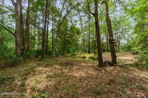 17252 Holmes Mill Avenue Jacksonville FL 32226