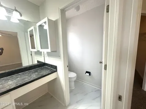 345 Wildberry Court Orange Park FL 32073