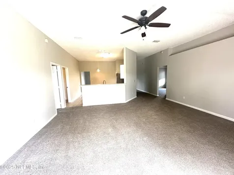 345 Wildberry Court Orange Park FL 32073