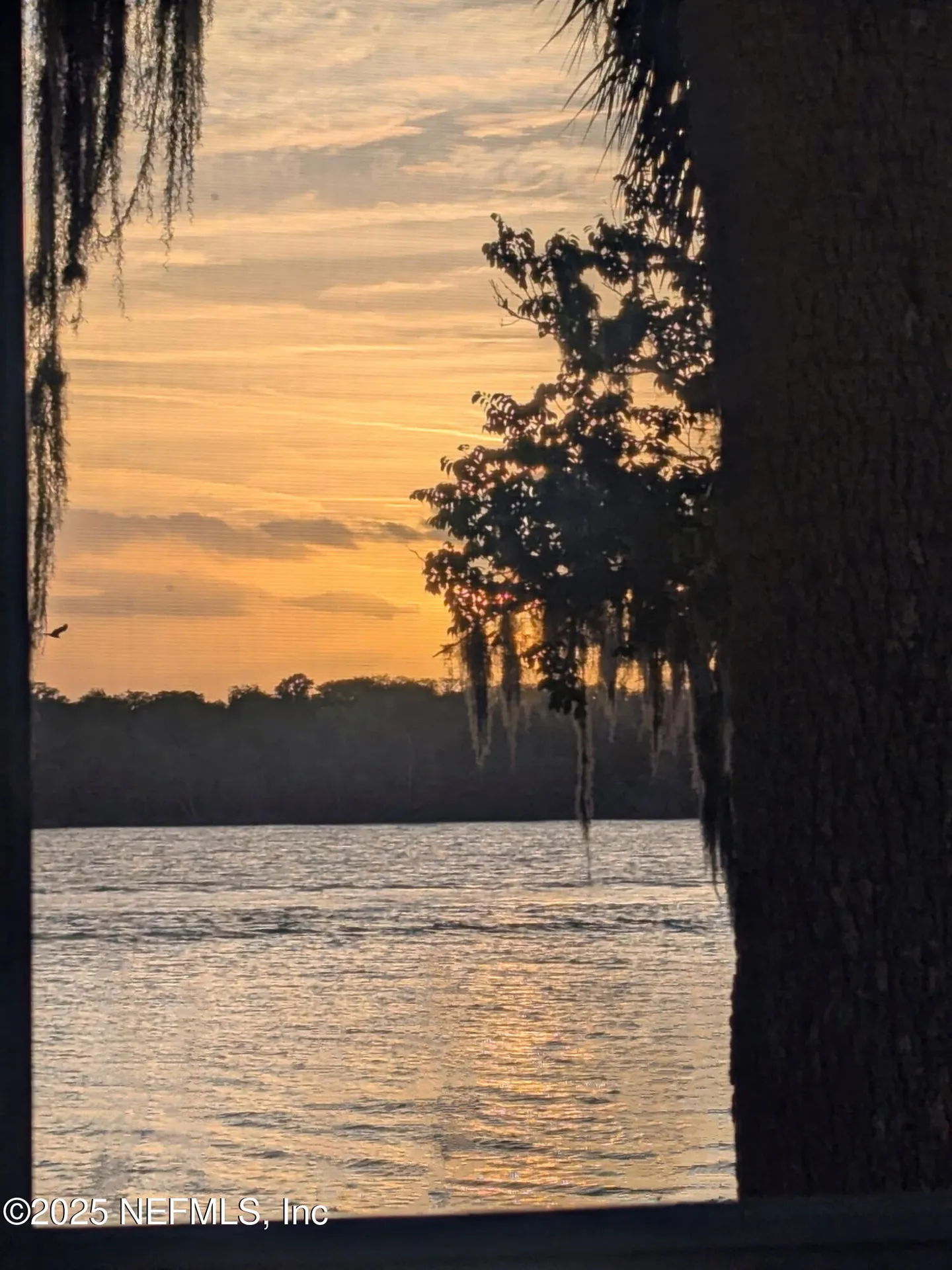 222 River Bend Place Welaka FL 32193
