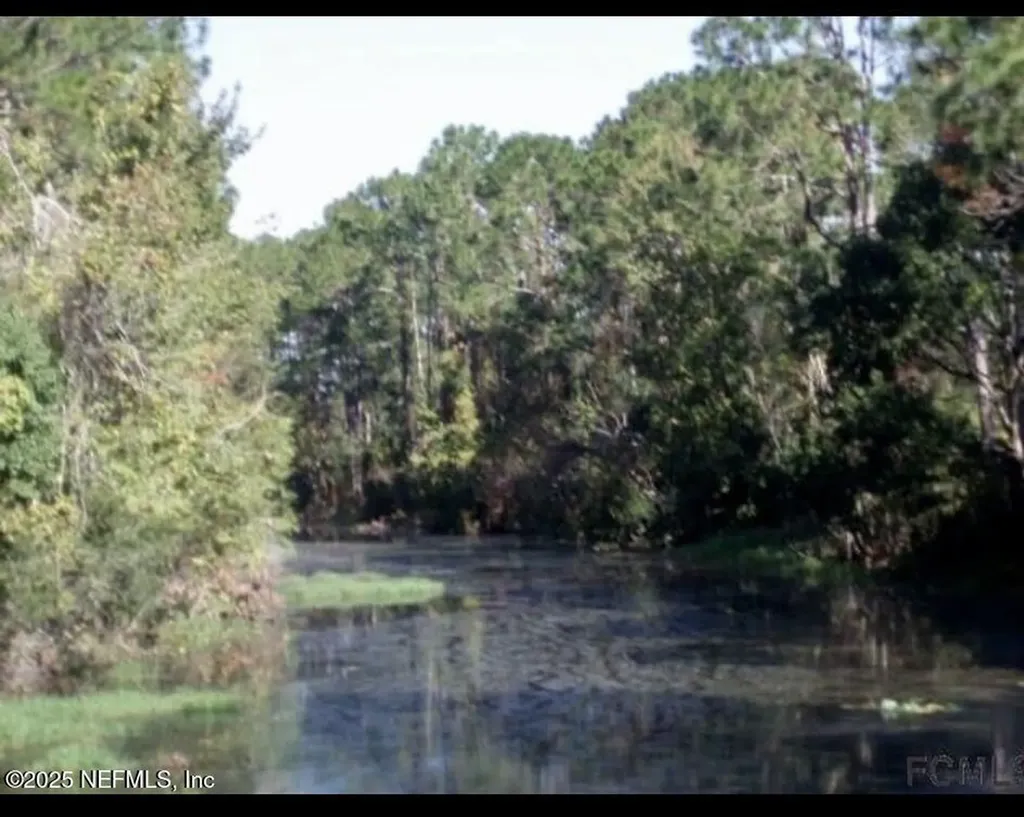 309 Wellington Drive Palm Coast FL 32164