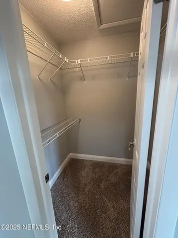 12344 Cormorant Court Jacksonville FL 32223
