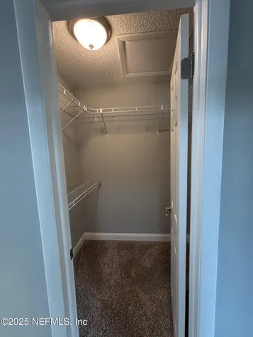 12344 Cormorant Court Jacksonville FL 32223