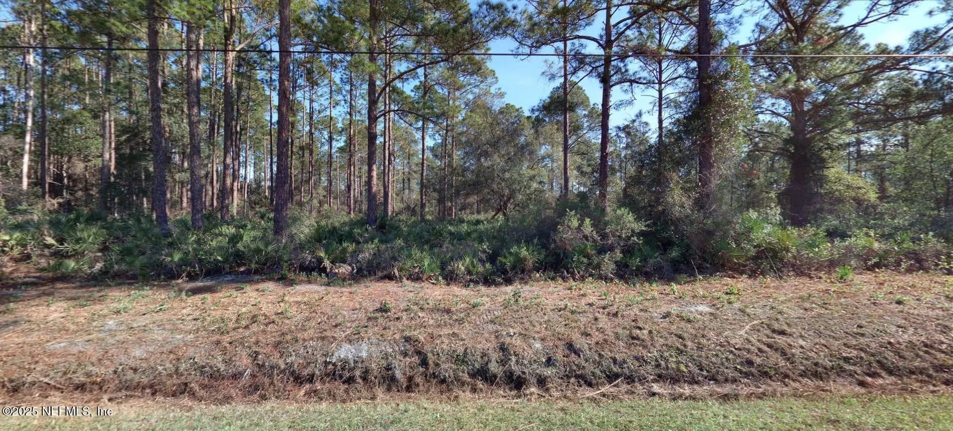 10560 Beckenger Avenue Hastings FL 32145