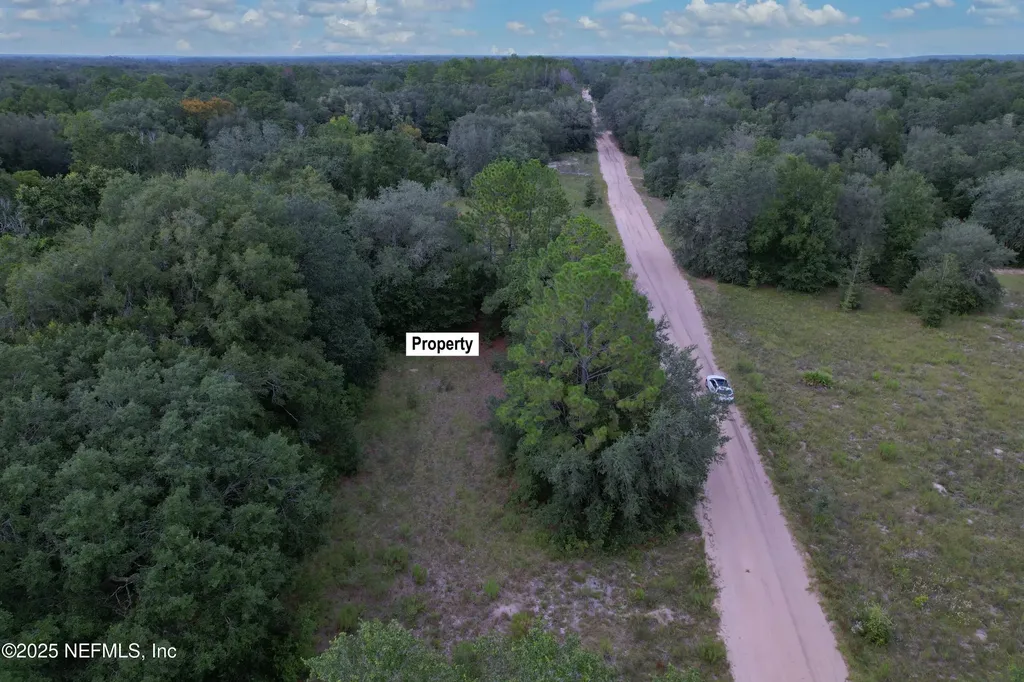 0 Guy Avenue Interlachen FL 32148