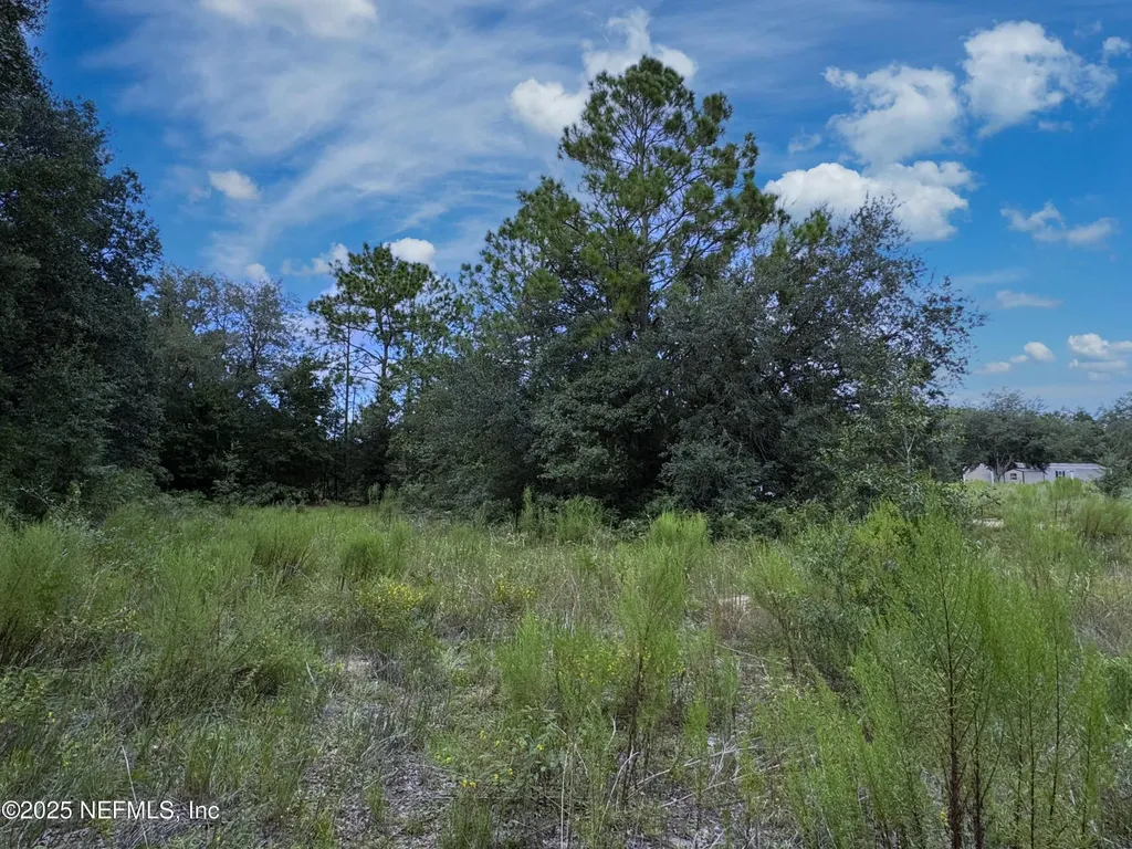 0 Guy Avenue Interlachen FL 32148