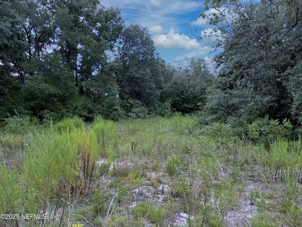 0 Guy Avenue Interlachen FL 32148