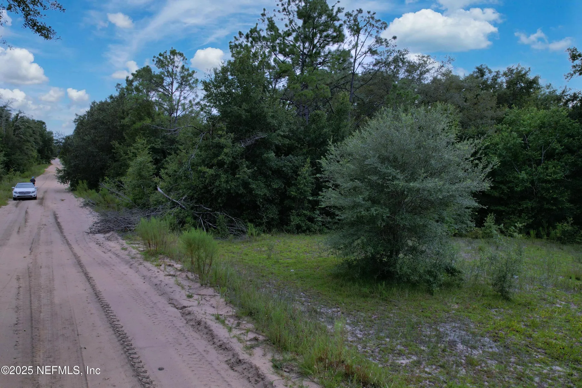 0 Guy Avenue Interlachen FL 32148