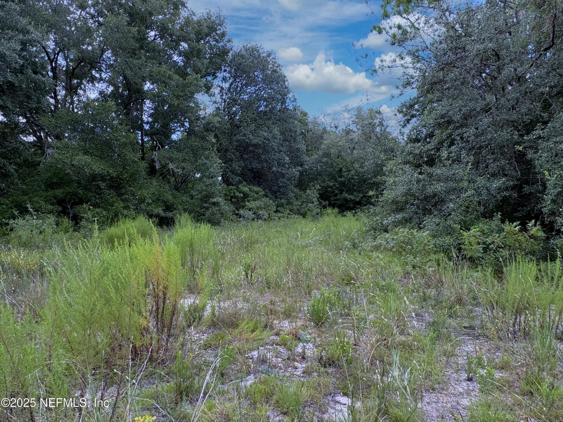 0 Guy Avenue Interlachen FL 32148