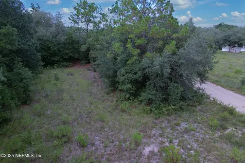 0 Guy Avenue Interlachen FL 32148