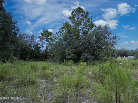 0 Guy Avenue Interlachen FL 32148