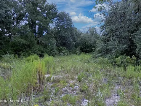 0 Guy Avenue Interlachen FL 32148