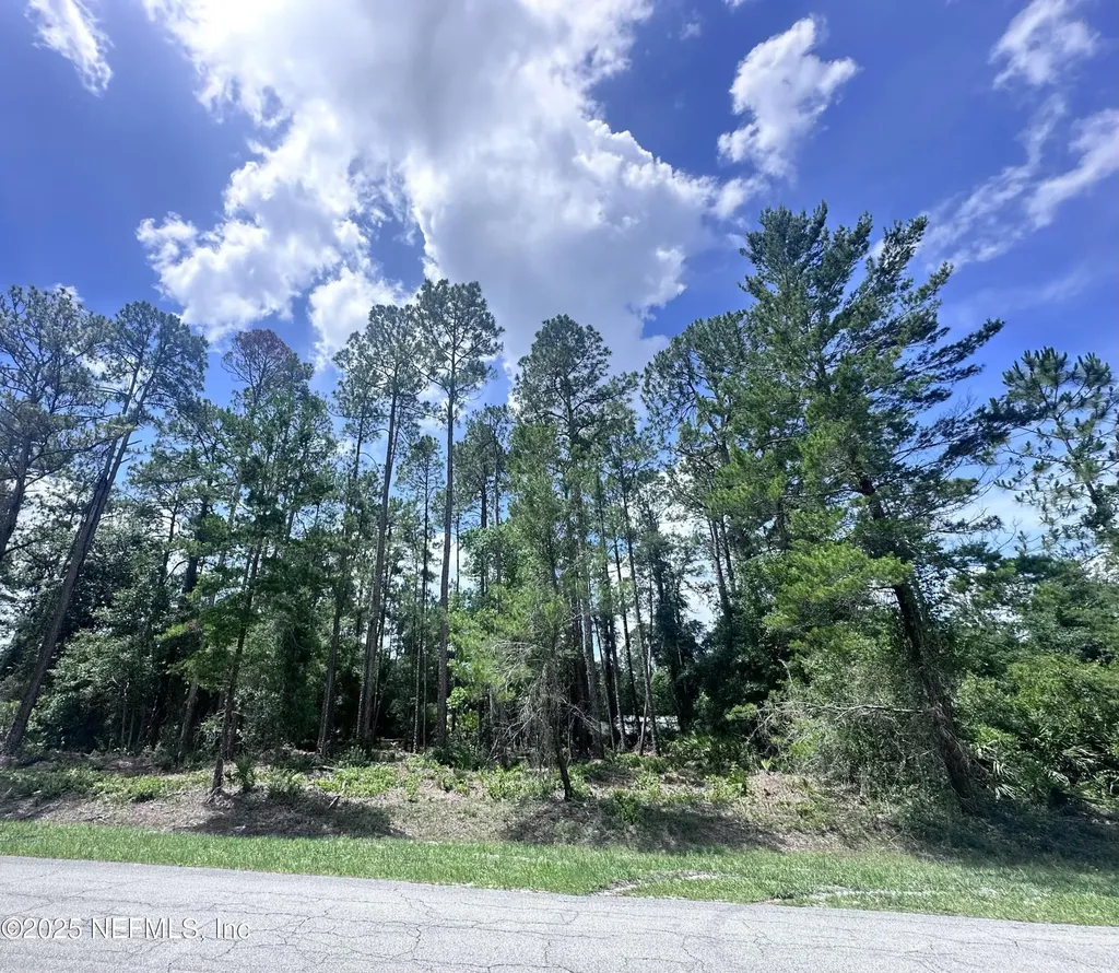 107 Georgetown Point Road Georgetown FL 32139
