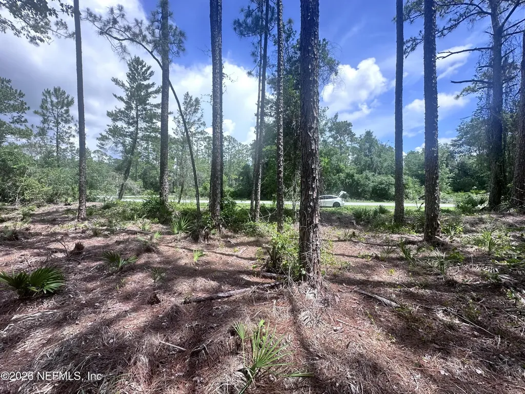 107 Georgetown Point Road Georgetown FL 32139