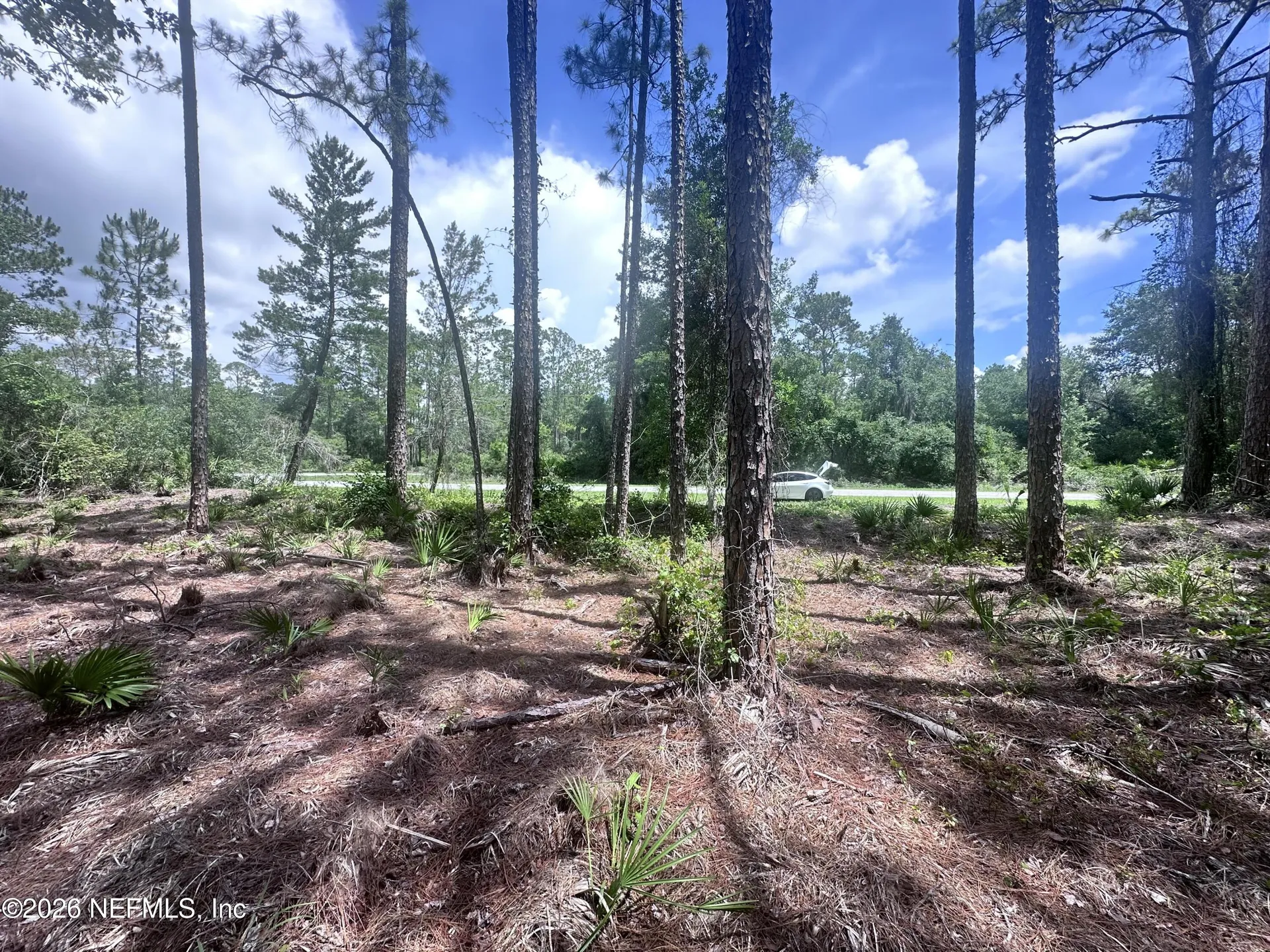 107 Georgetown Point Road Georgetown FL 32139