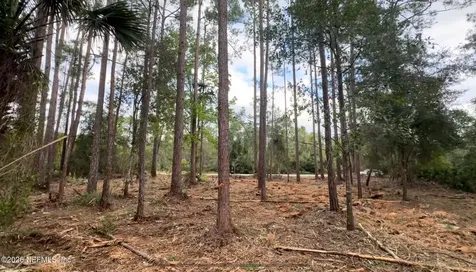 107 Georgetown Point Road Georgetown FL 32139