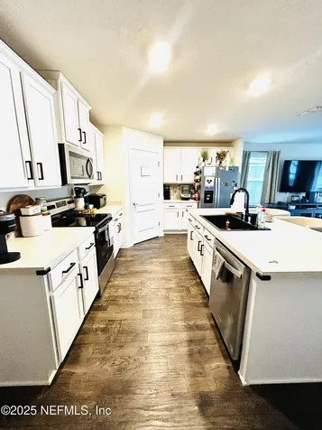 3423 Belen Court Middleburg FL 32068