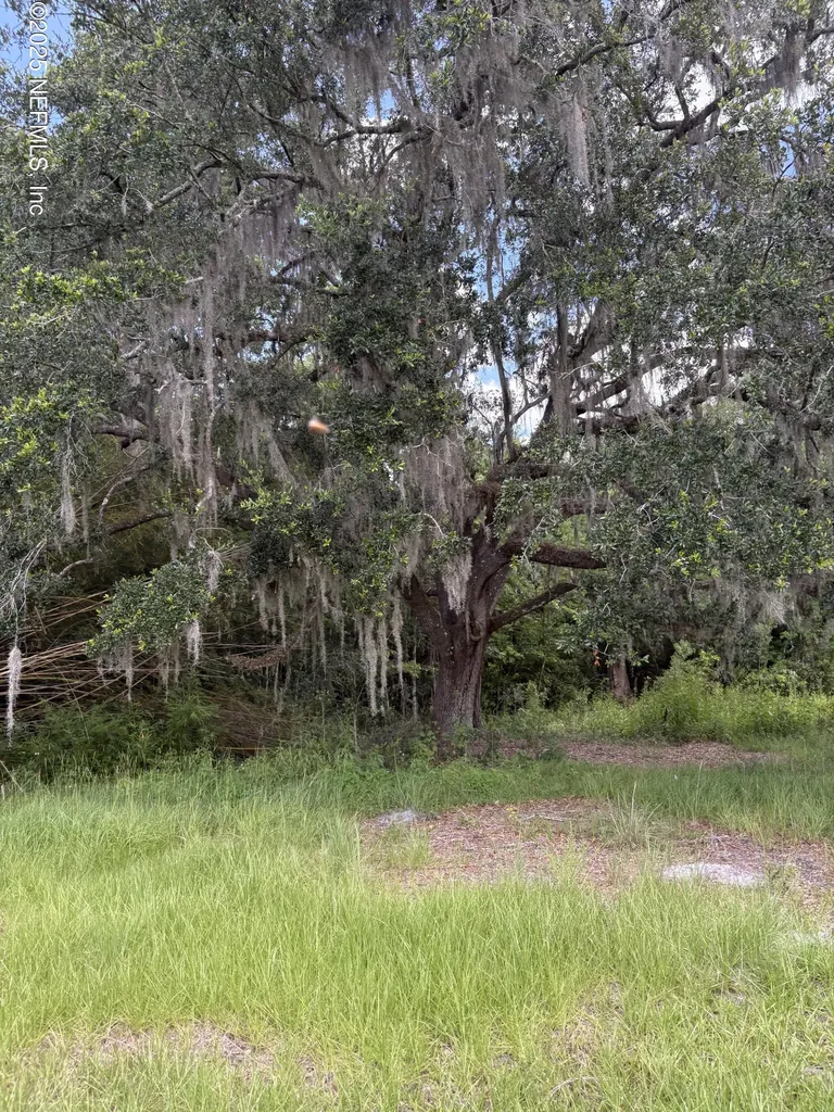 22438 NW 44th Avenue Lawtey FL 32058