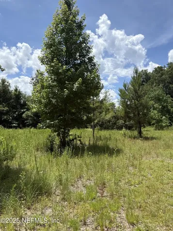 22438 NW 44th Avenue Lawtey FL 32058
