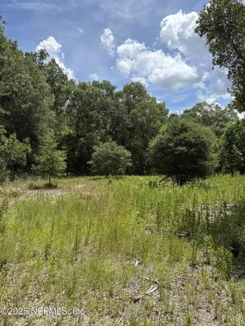 22438 NW 44th Avenue Lawtey FL 32058