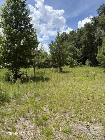 22438 NW 44th Avenue Lawtey FL 32058
