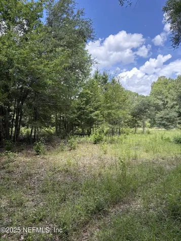 22438 NW 44th Avenue Lawtey FL 32058