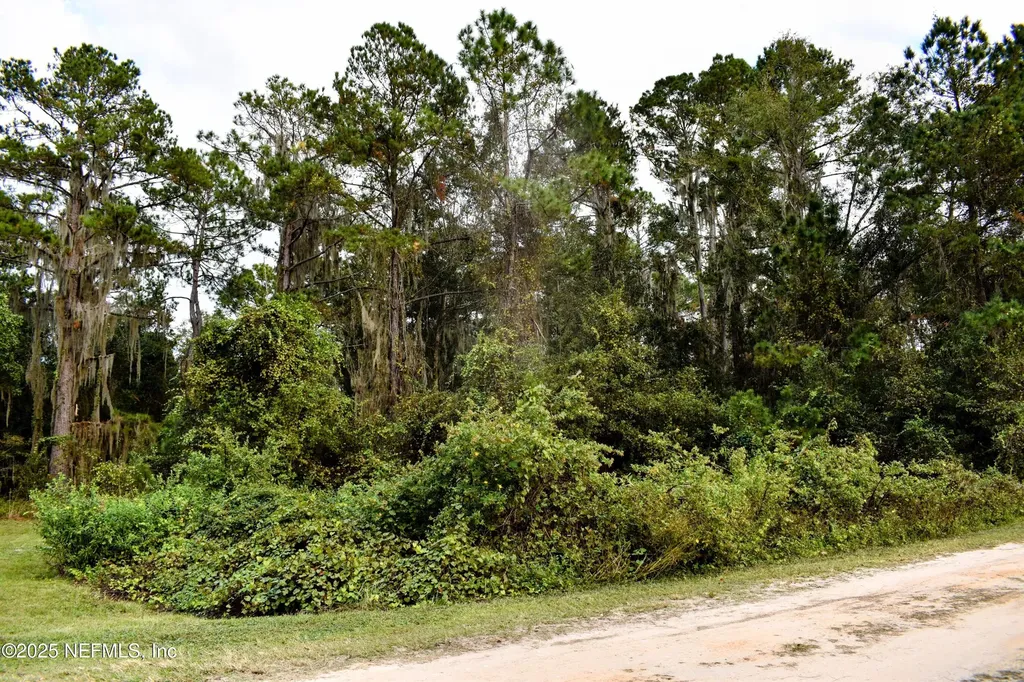 106 Flora Terrace Florahome FL 32140