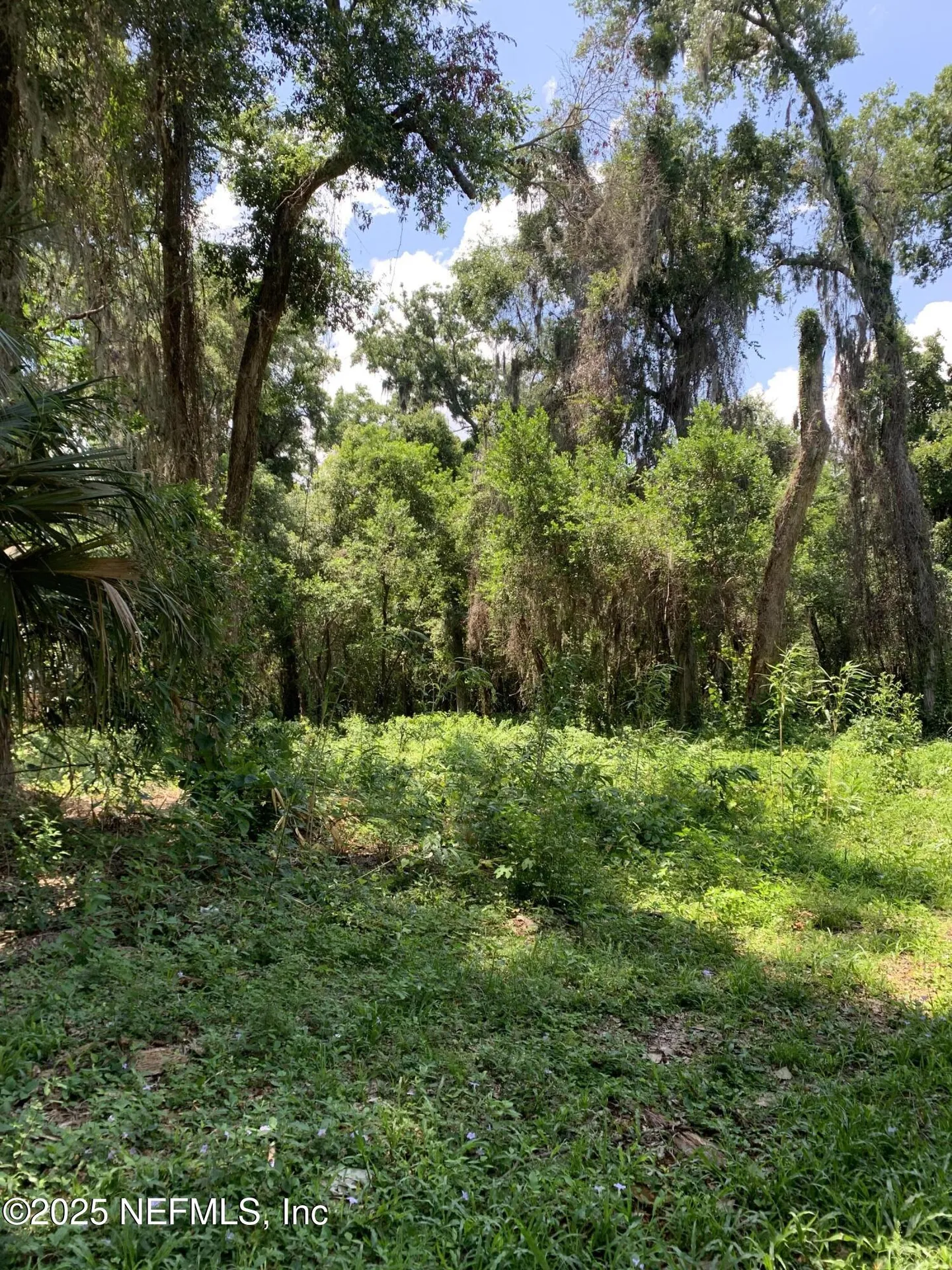0 Milwaukee Avenue Orange Park FL 32073