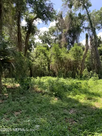 0 Milwaukee Avenue Orange Park FL 32073