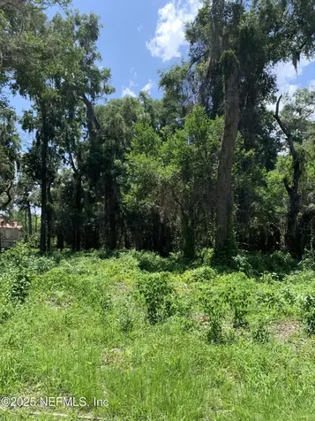 0 Milwaukee Avenue Orange Park FL 32073