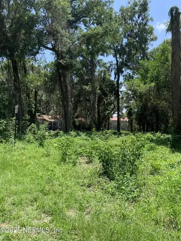 0 Milwaukee Avenue Orange Park FL 32073