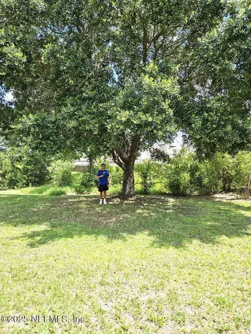 327 Turtle Dove Drive Orange Park FL 32073