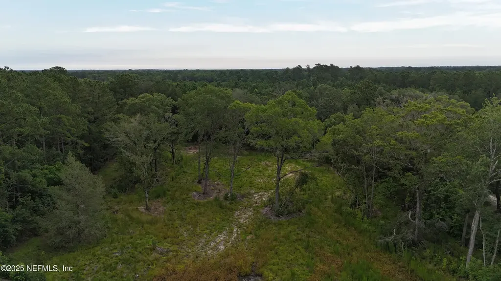 0 Wilbur Jones Road Callahan FL 32011