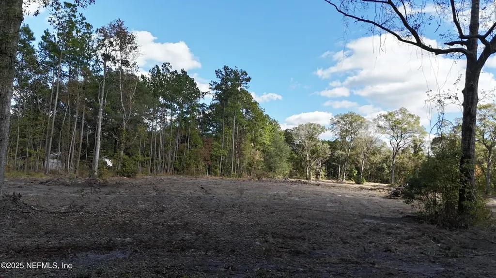 0 Wilbur Jones Road Callahan FL 32011