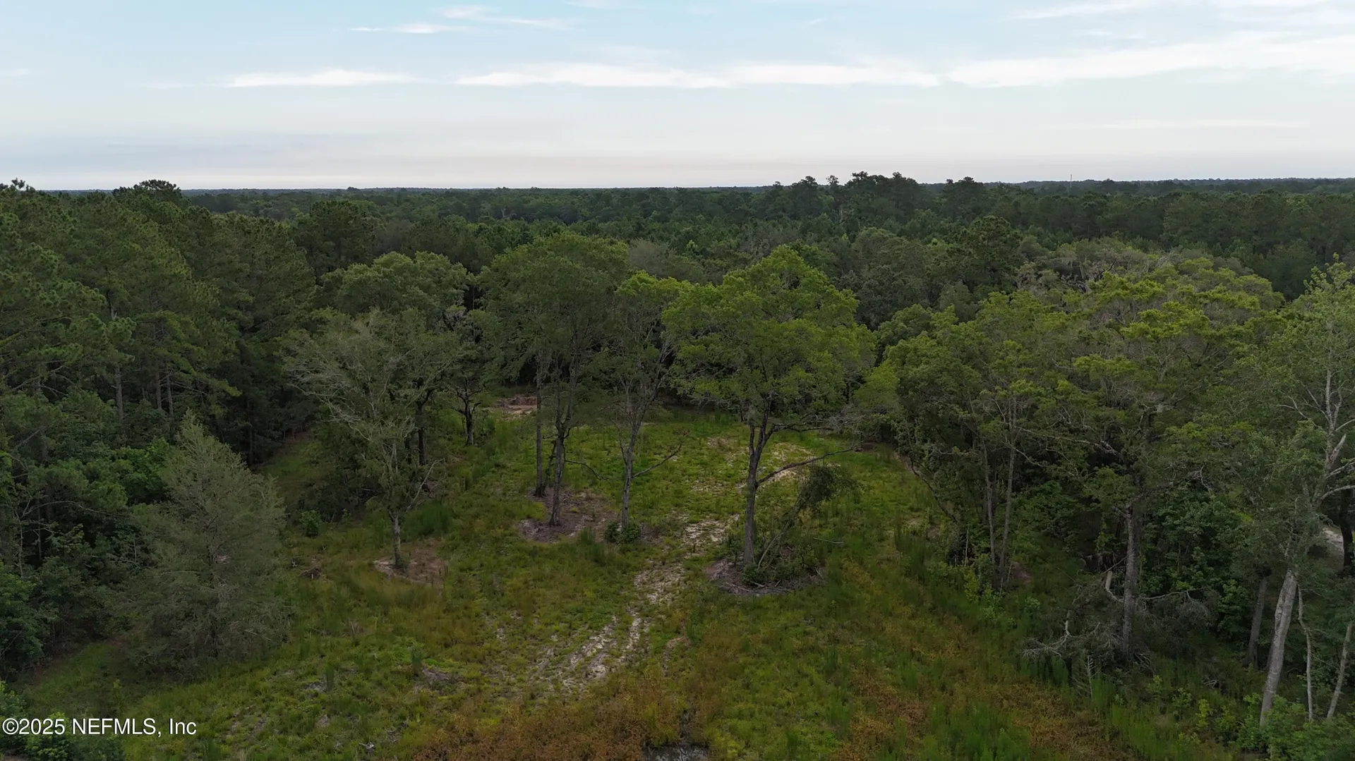 0 Wilbur Jones Road Callahan FL 32011