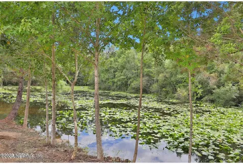 2972 Cape View Drive Jacksonville FL 32226