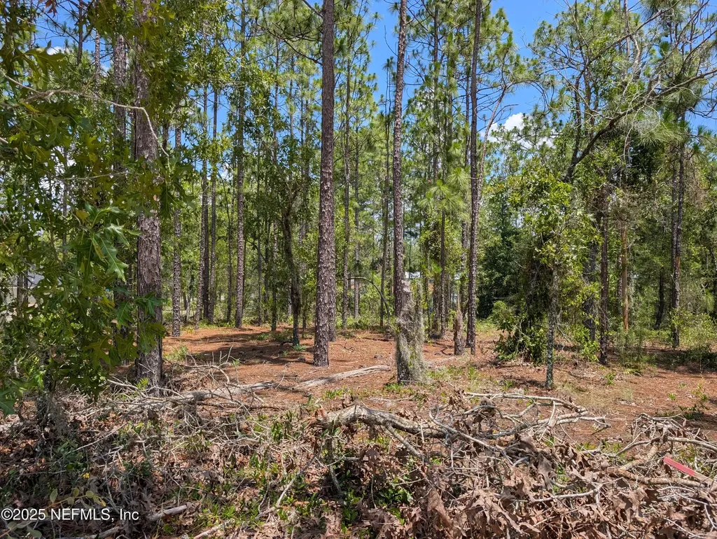 6218 Emory Avenue Keystone Heights FL 32656