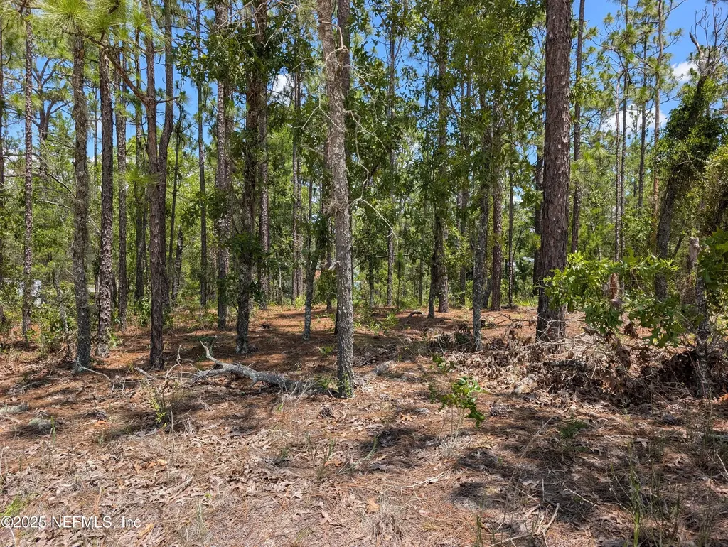 6218 Emory Avenue Keystone Heights FL 32656