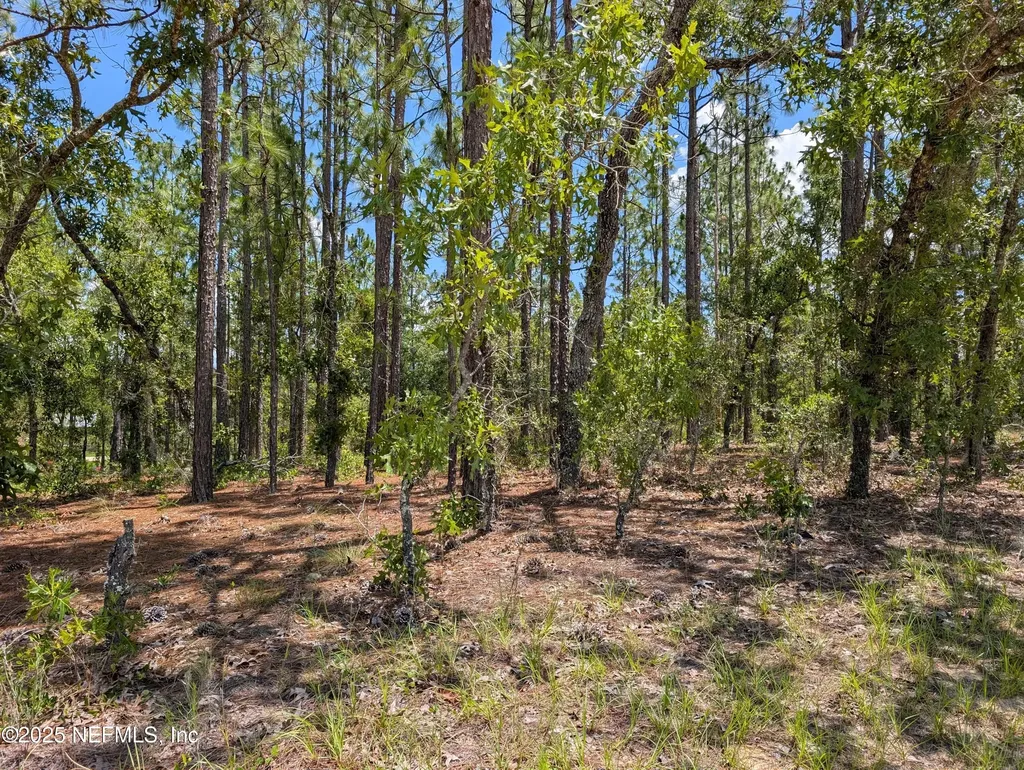 6218 Emory Avenue Keystone Heights FL 32656