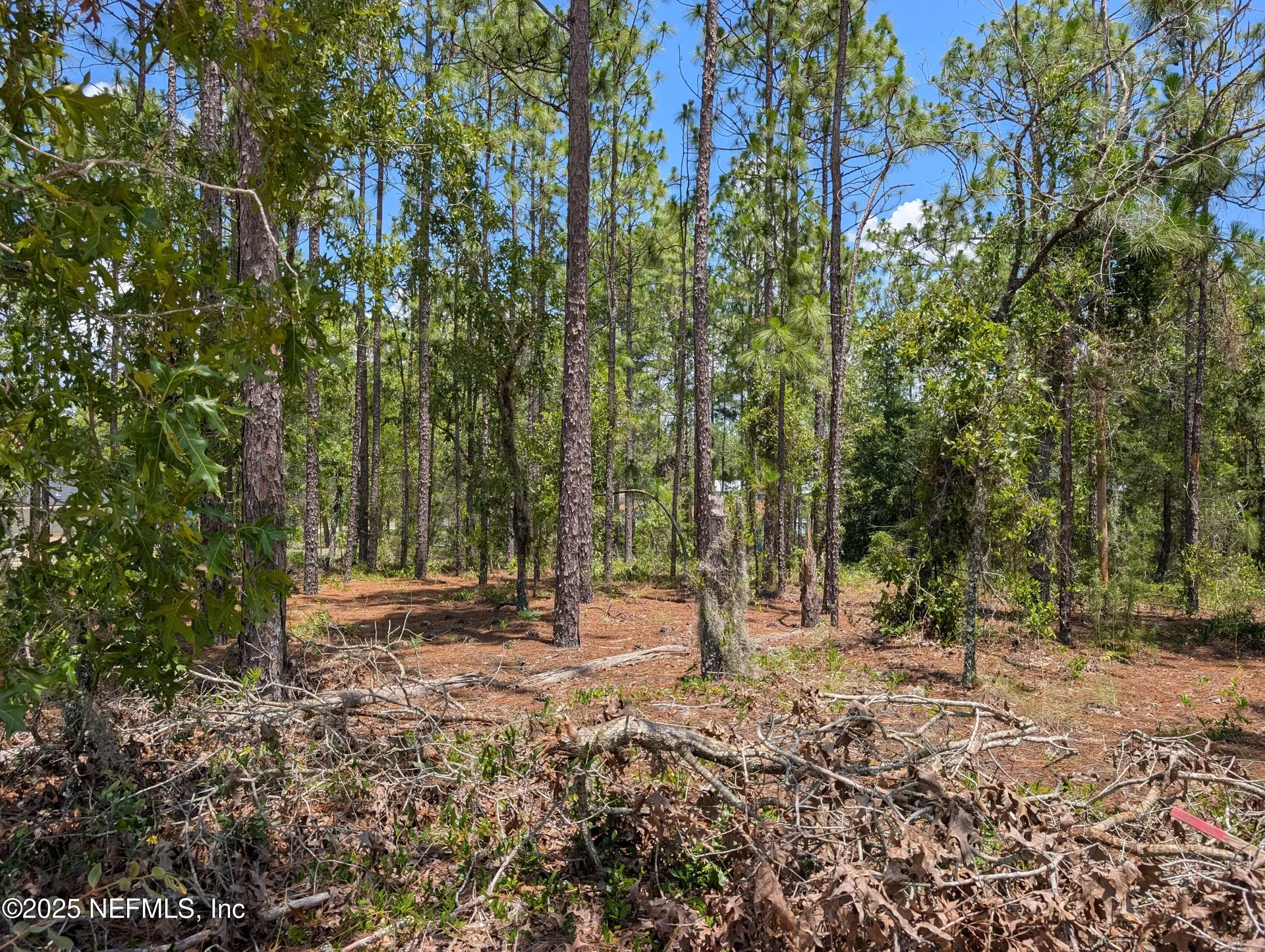6218 Emory Avenue Keystone Heights FL 32656