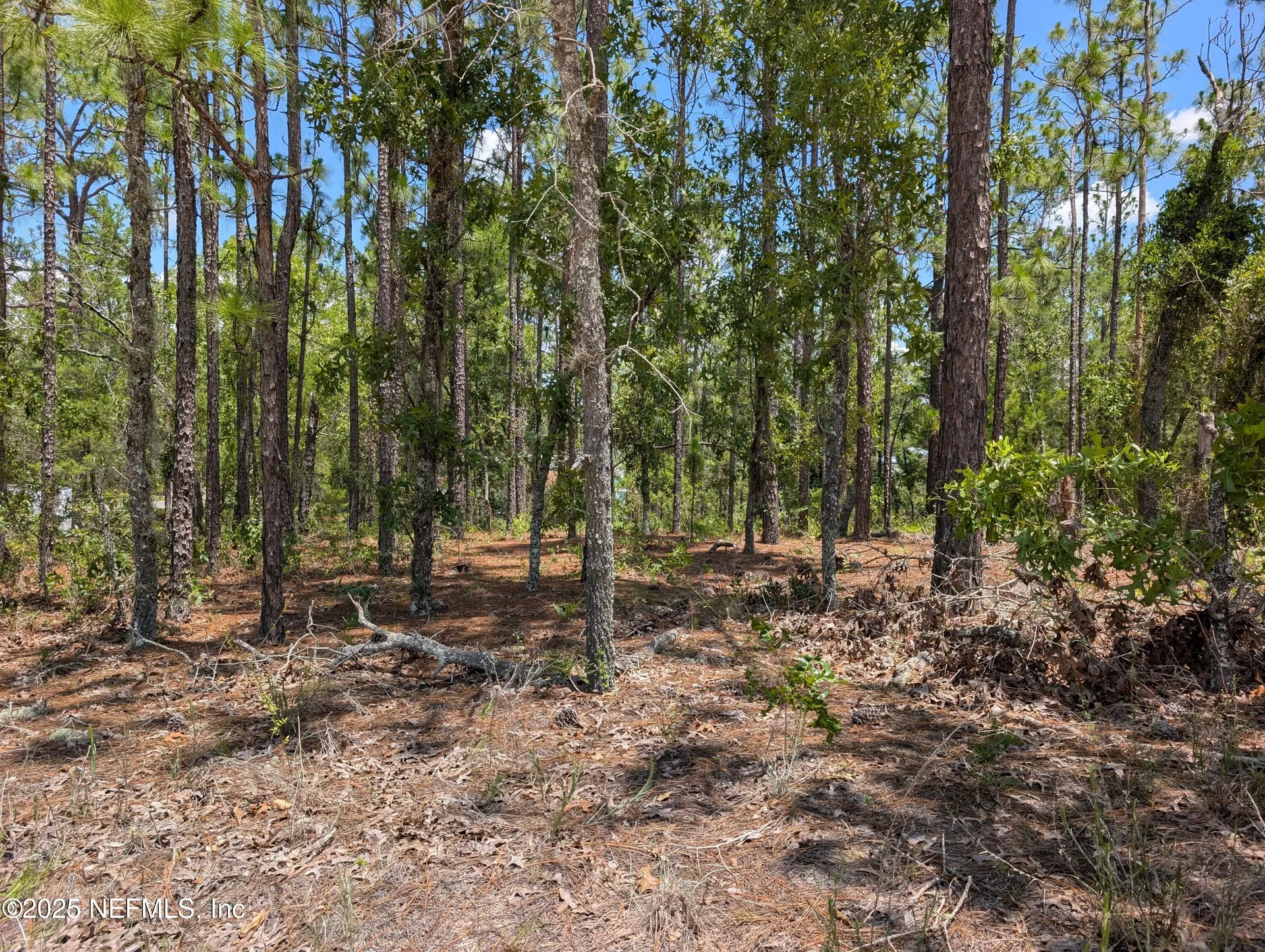 6218 Emory Avenue Keystone Heights FL 32656