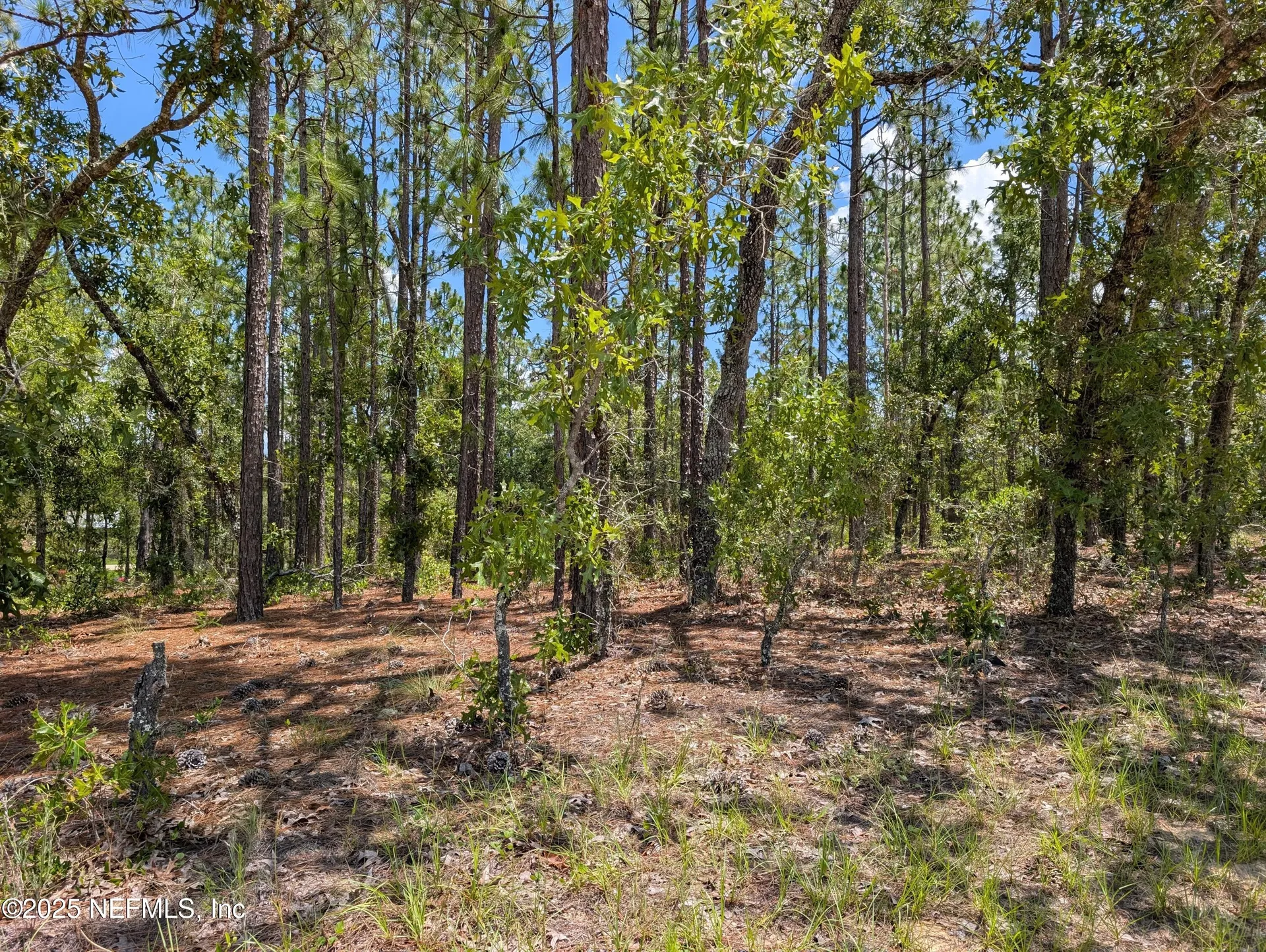 6218 Emory Avenue Keystone Heights FL 32656